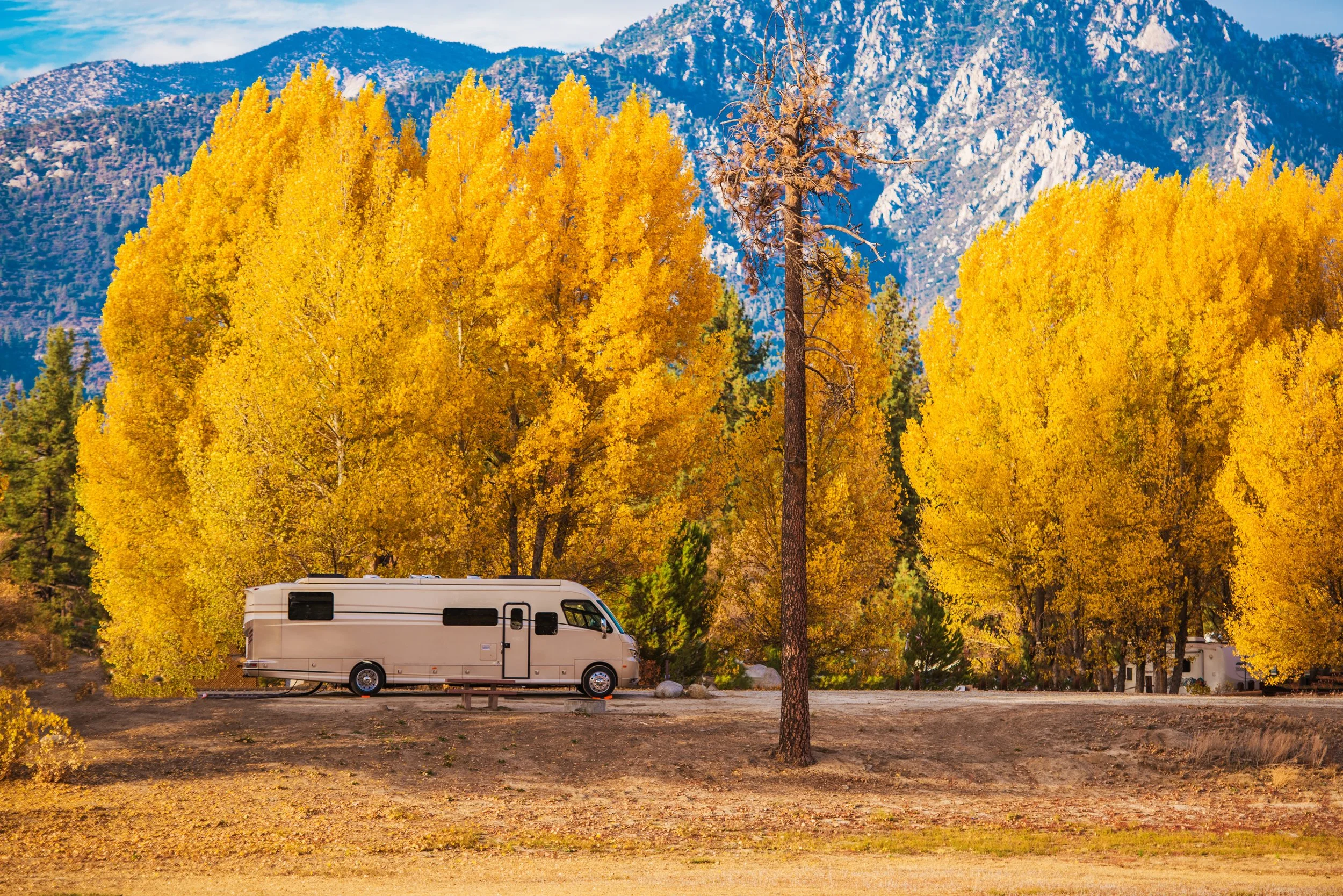 8 Ways to Make Extra Money During Fall and Winter