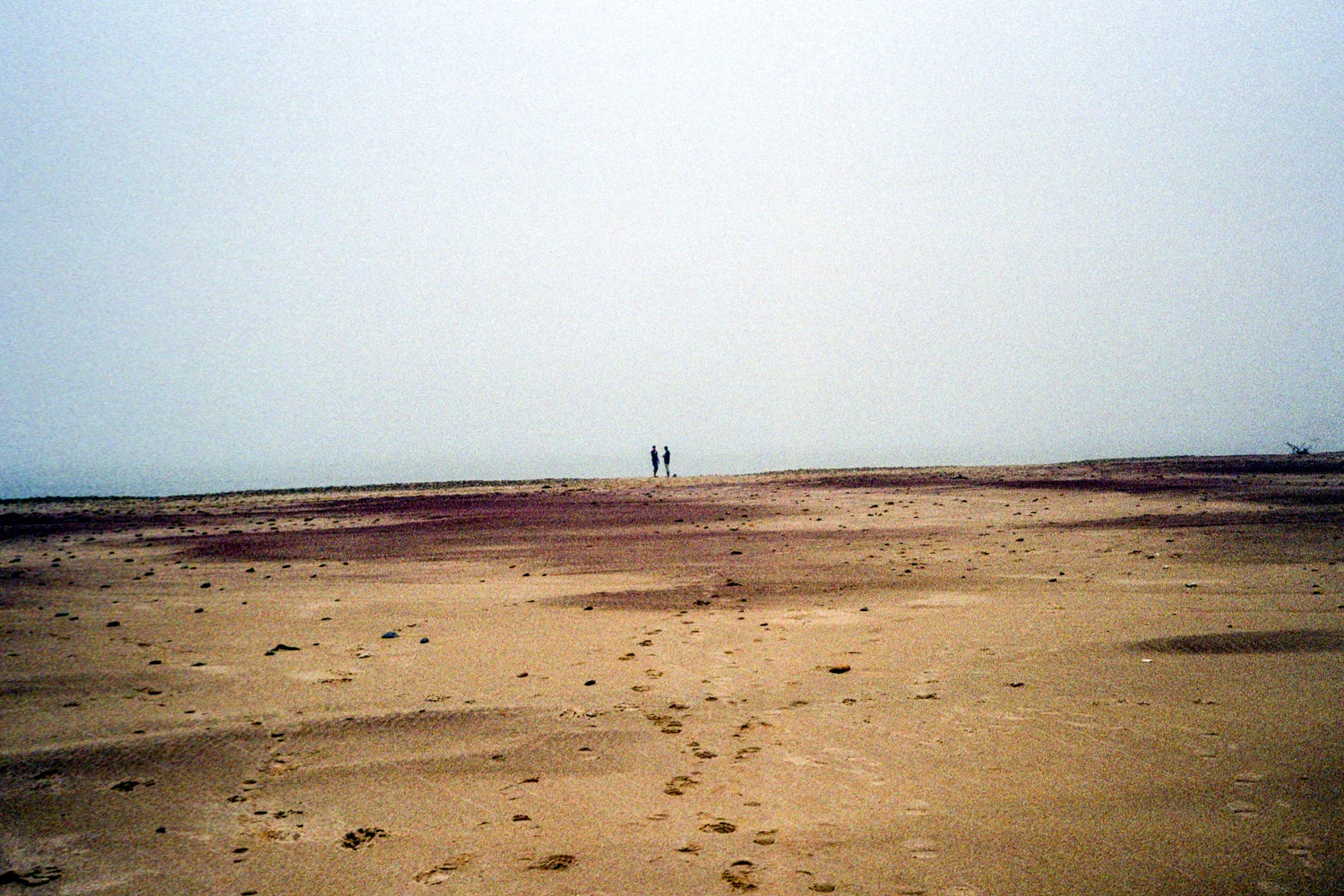 Scan-130118-0003.jpg