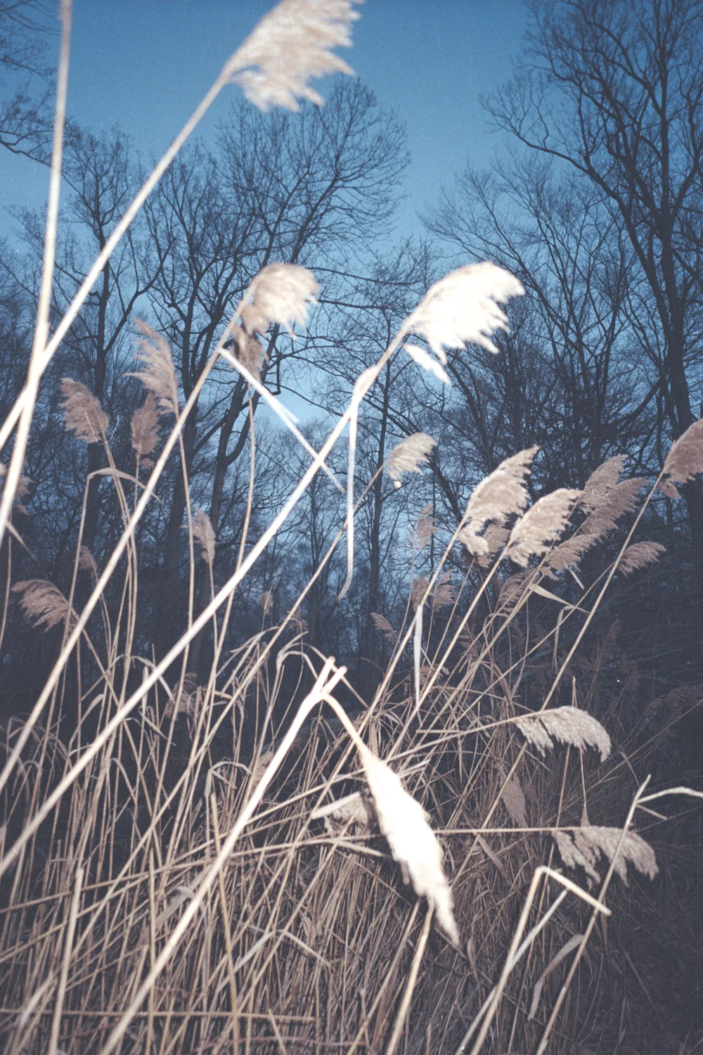 Scan-130115-0013.jpg