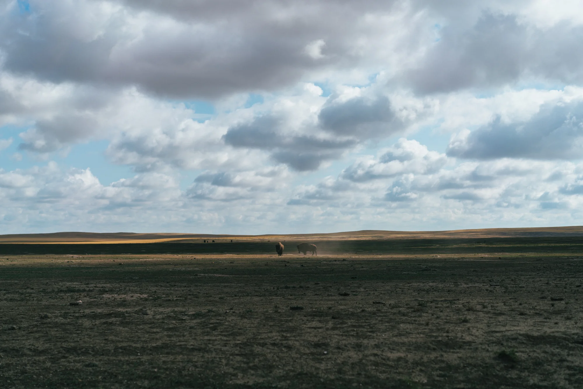 roadtrip2017-432.jpg