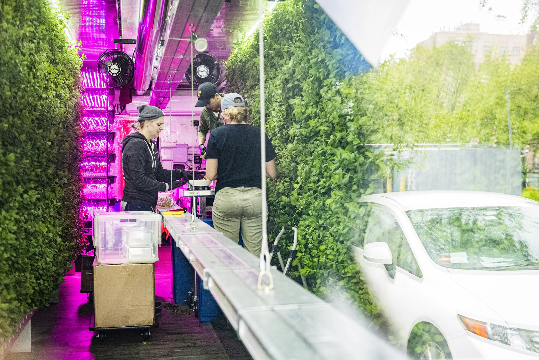 Blick in den Container von SquareRoots