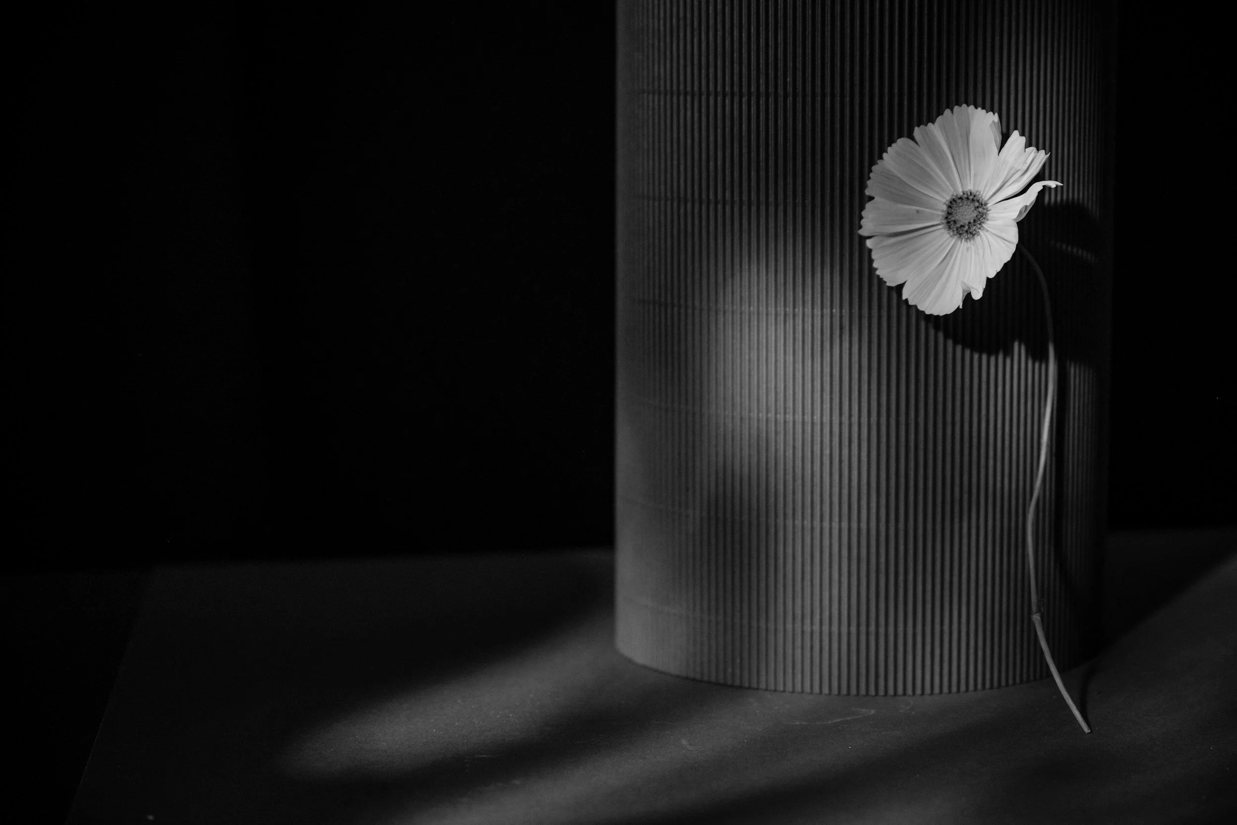 unsplash-image-Cpi46UOtDjg.jpg