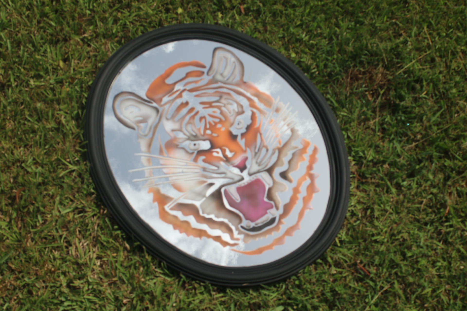 Tiger with airbrush color