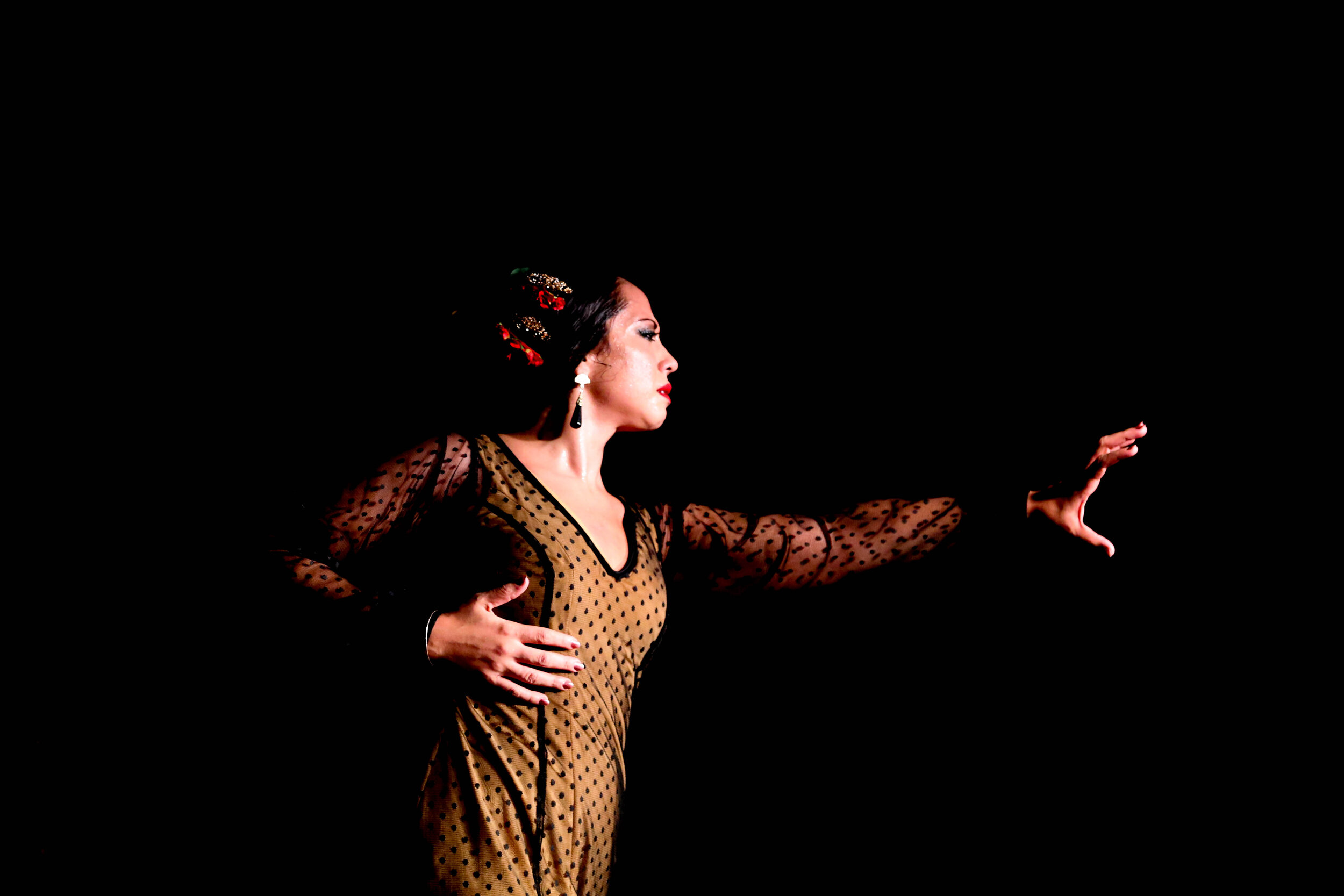 Flamenco at Circulo Español