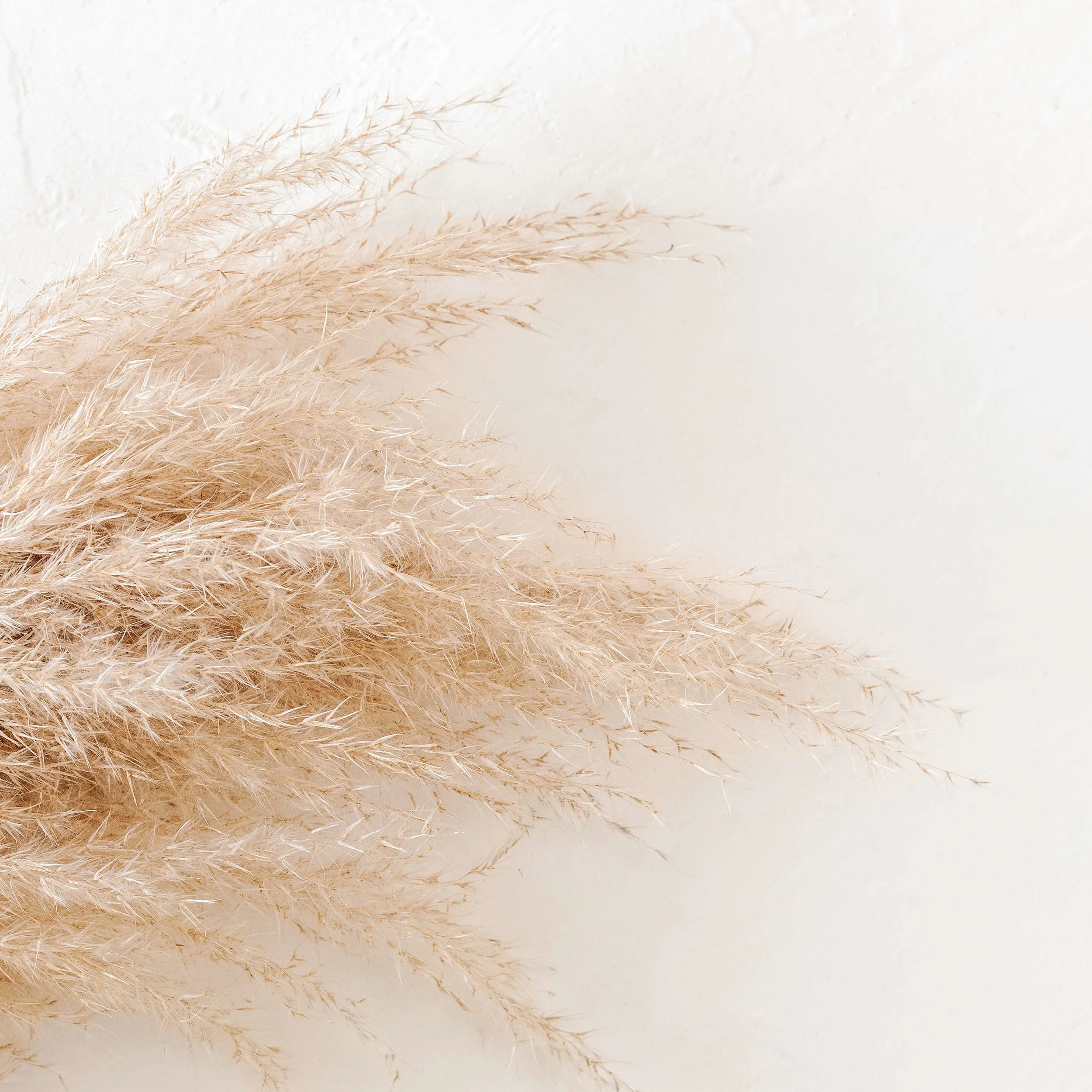 Mikaela Mannes - Mikaela Joy Designs