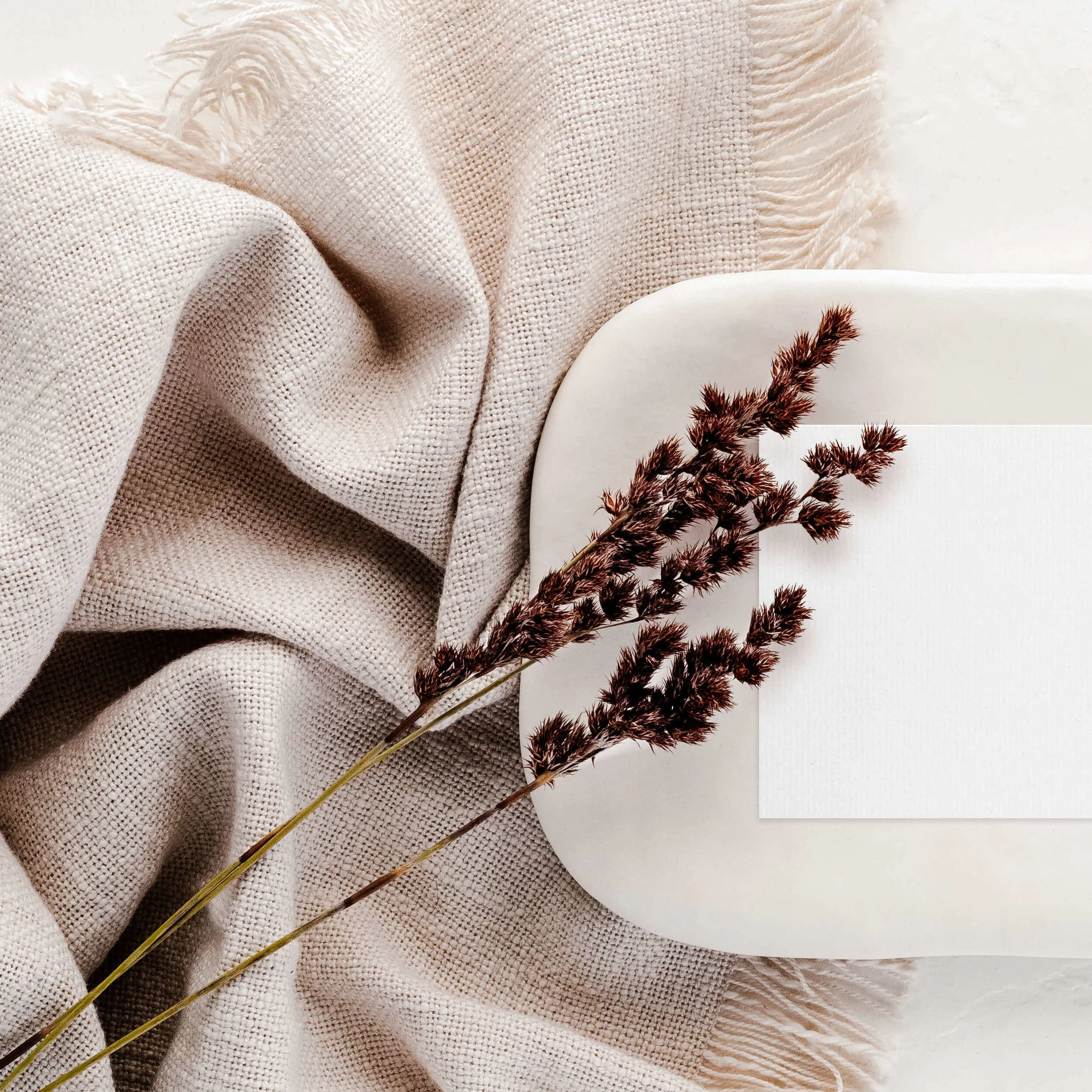 Rob Besaans - Marlborough Drone Company