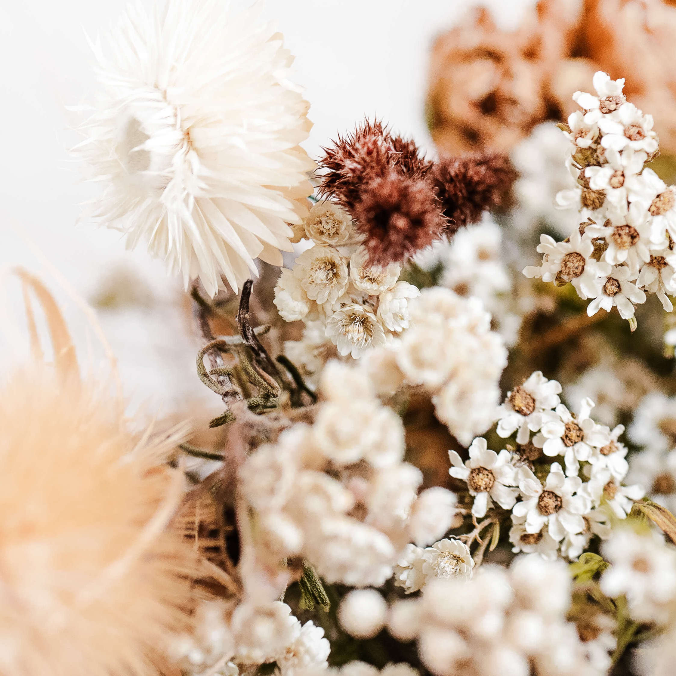 Rebecca Stoner - Forget Me Not Design