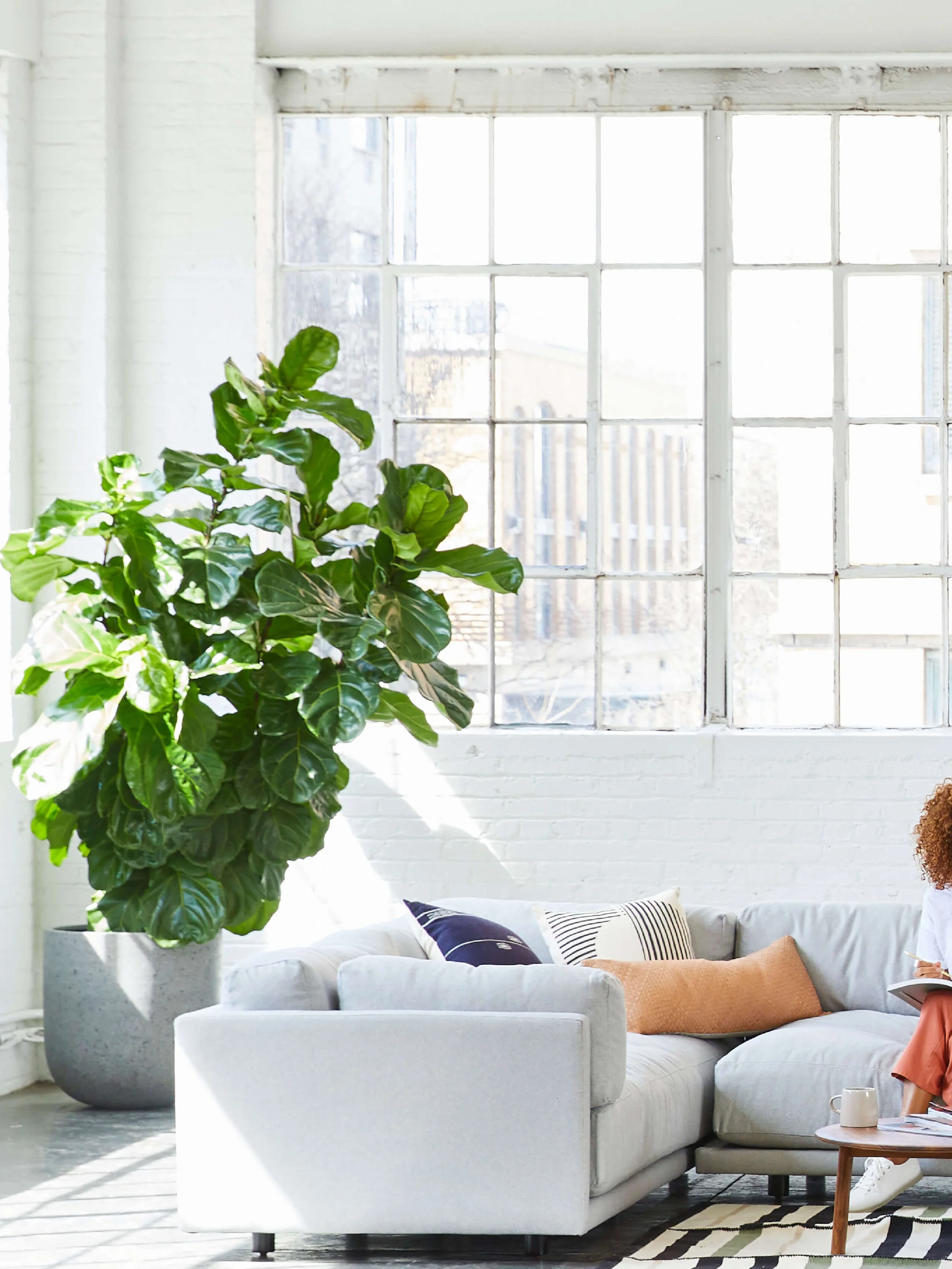 Vicki Evans - by January Made Design