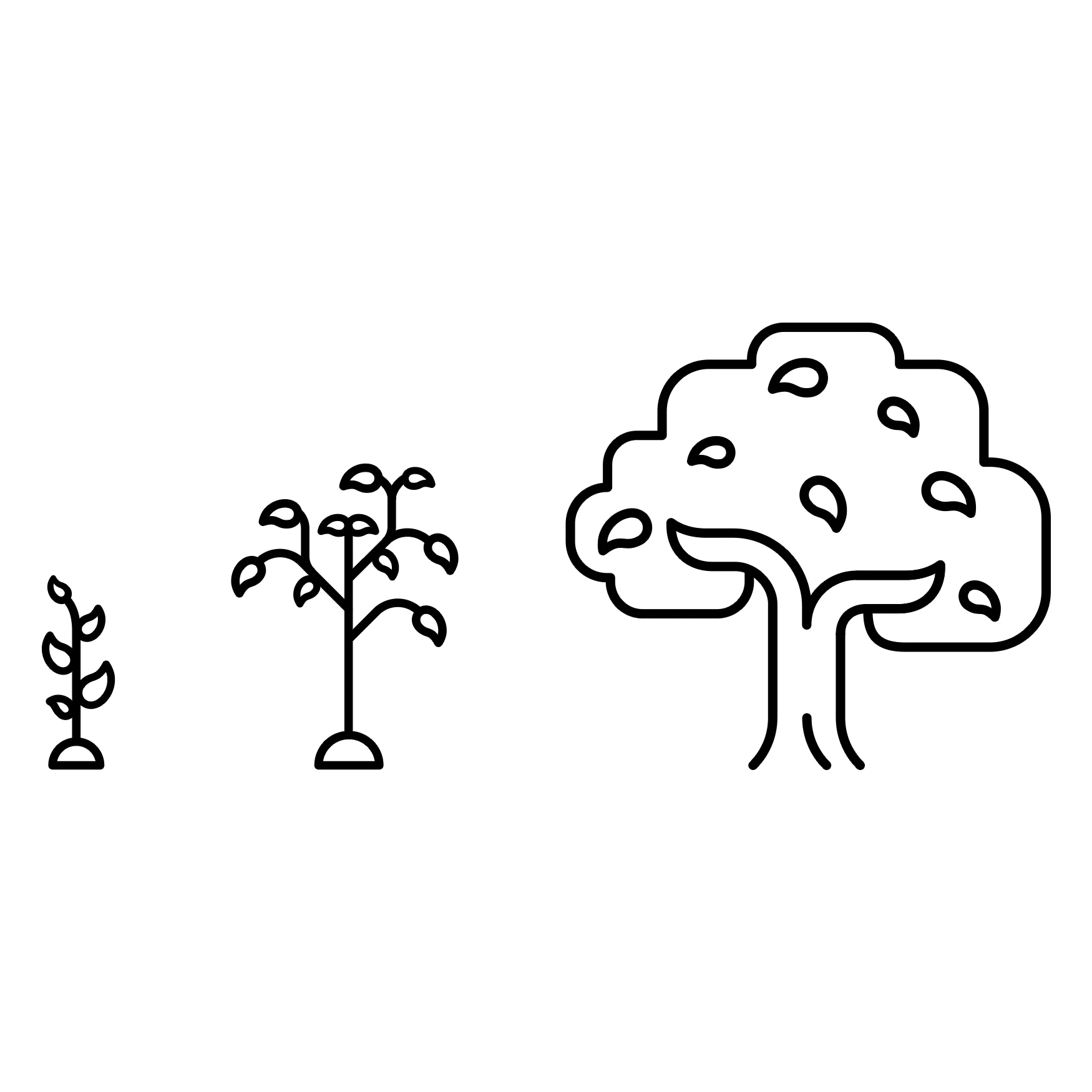 illus-trees.jpg