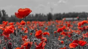 Remembrance Service
