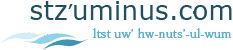 logo Stzuminus.png