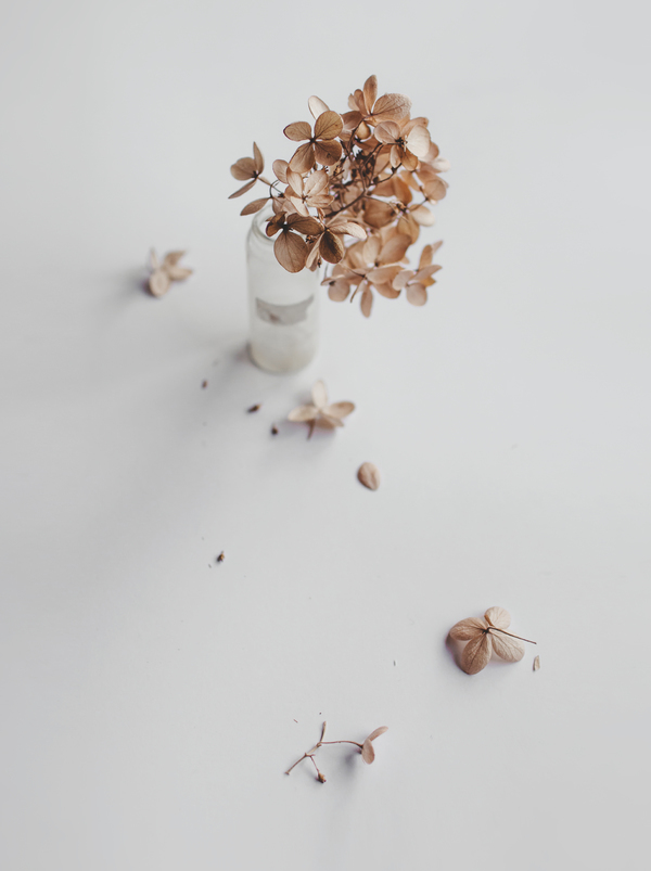 The Dry: Fall Product Round-Up