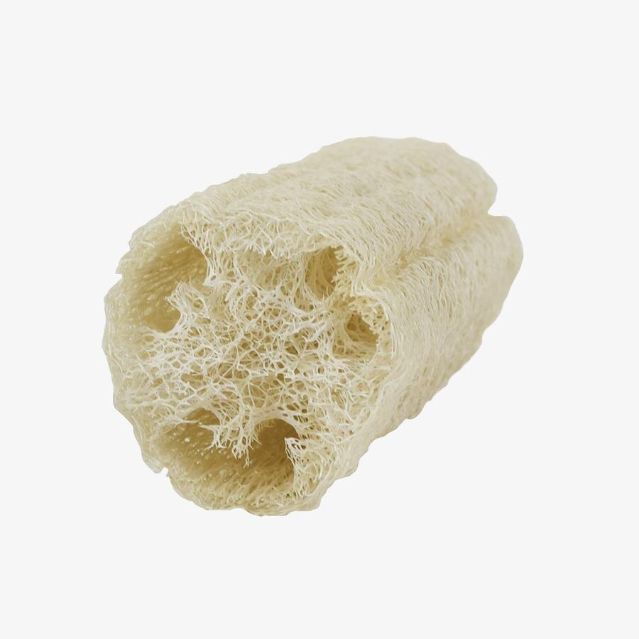 Bio-Degradable Loofahs