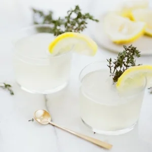 Gin cocktail masterclass