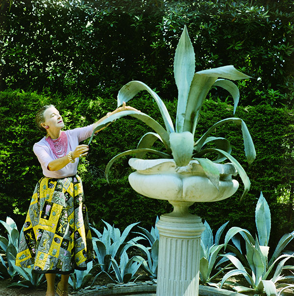 Lotus Garden Lotus Blog