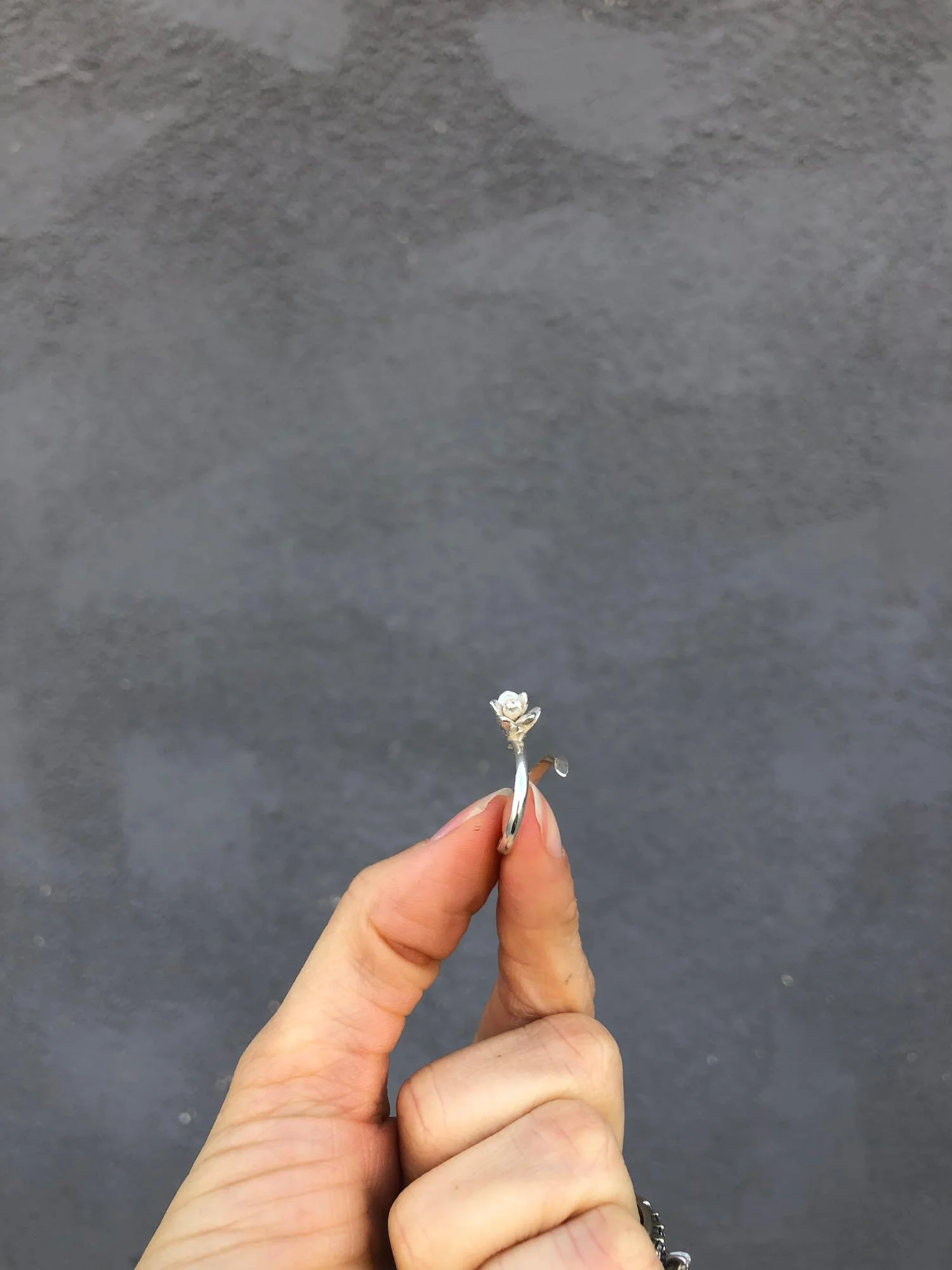 Sterling Silver Succulent Ring by Charming Little Lotus
