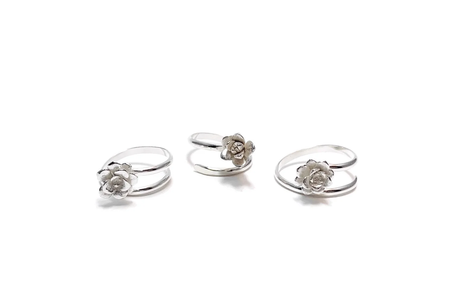 succulent_ring_group.jpg