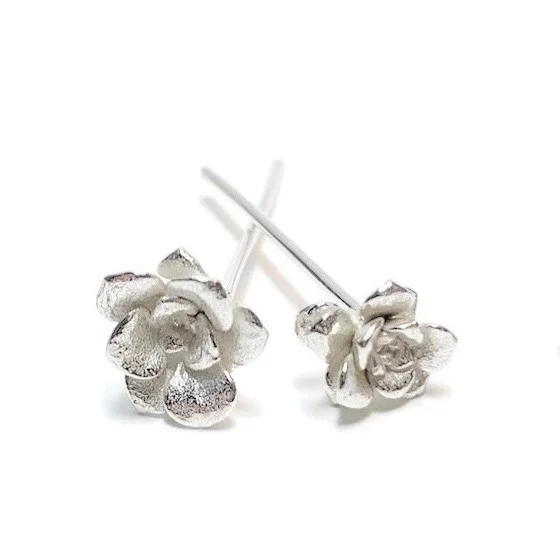 small_succulent_earrings_group2.jpeg