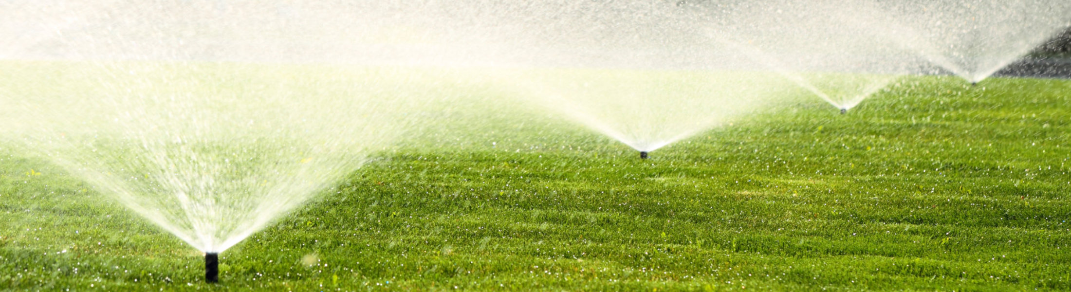 sprinkler-row.jpg