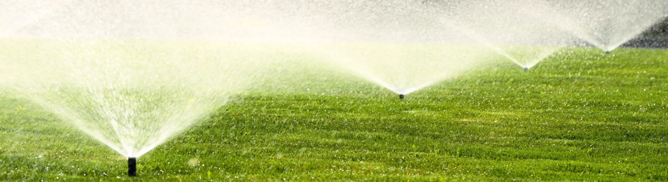 sprinkler-row.jpg