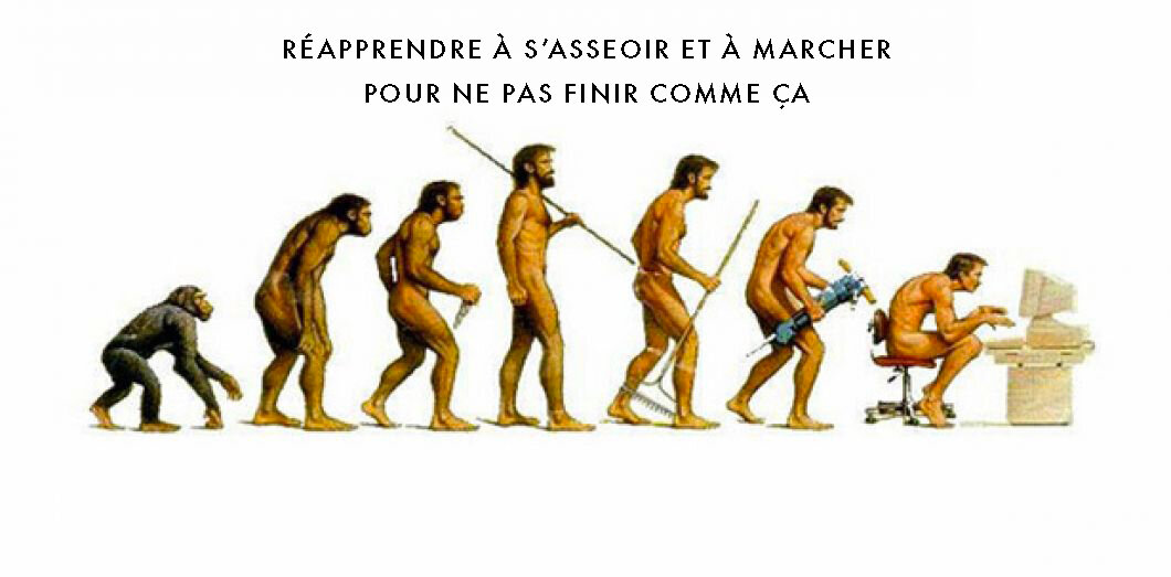 evolution3.jpg