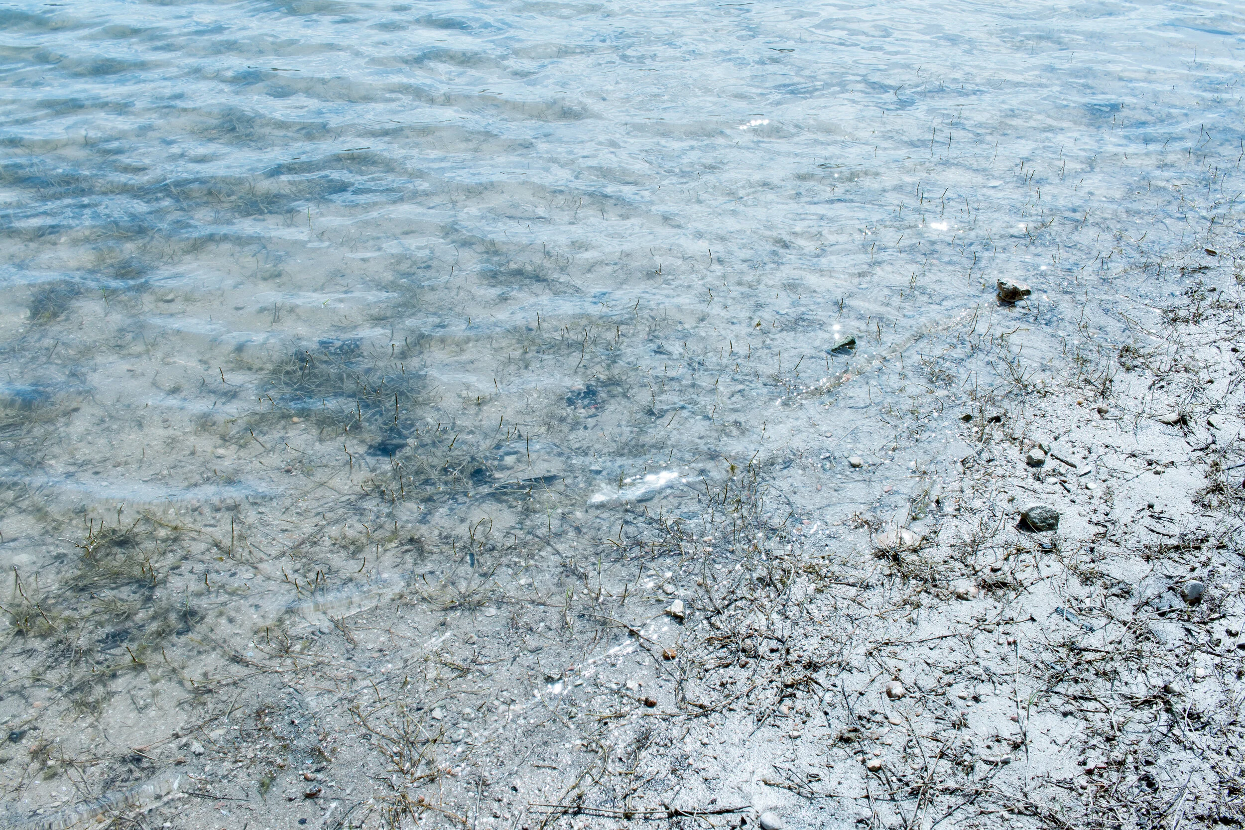 lakewaywater-1.jpg