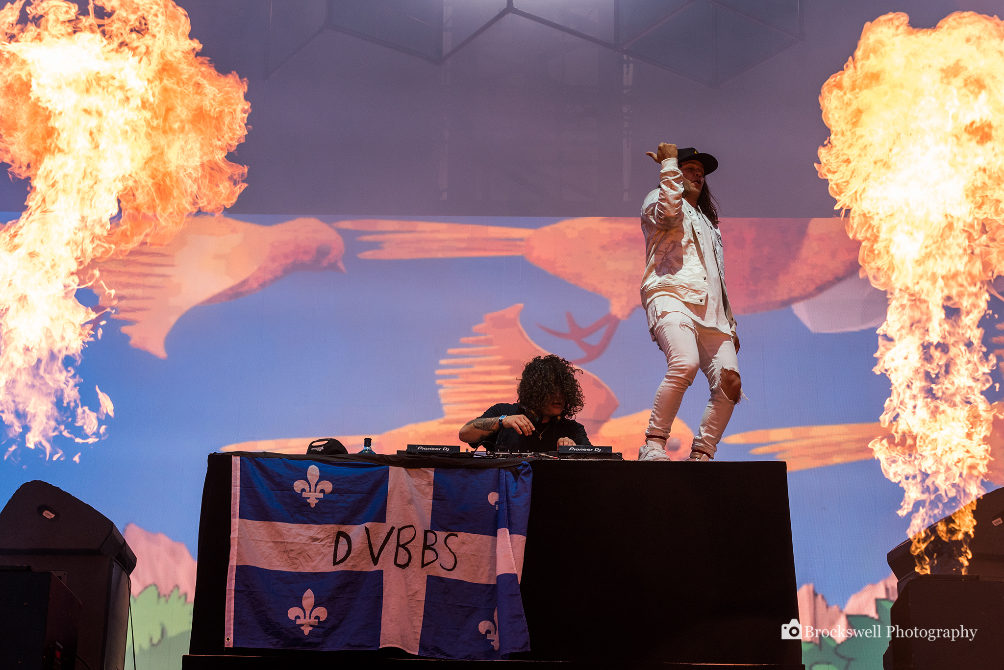 DVBBS11 - logod.jpg