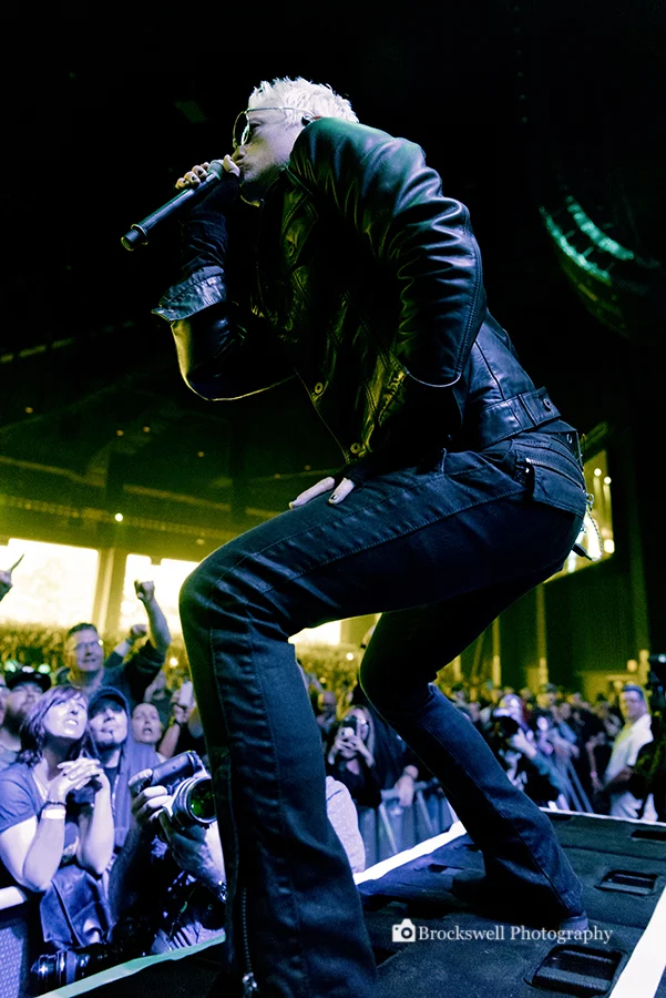 STP - 11 - Logod.jpg