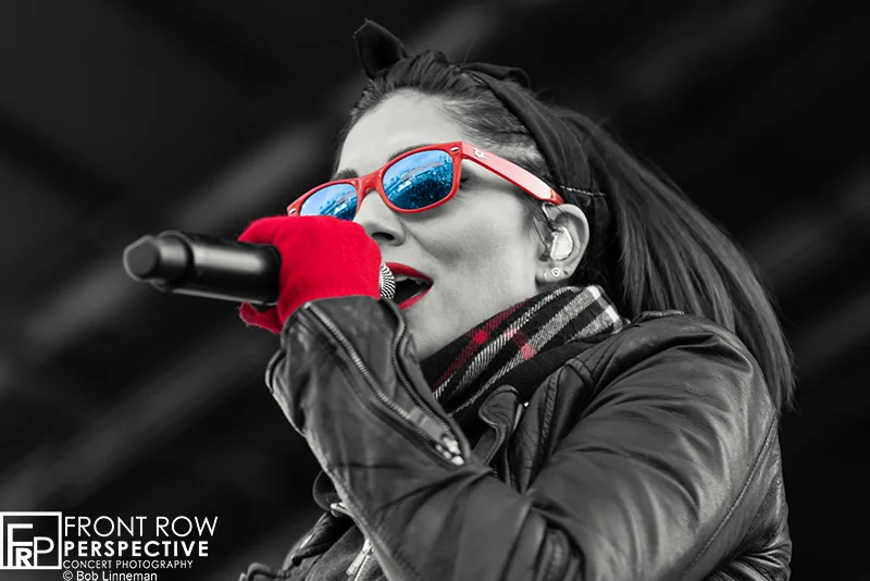The Interrupters