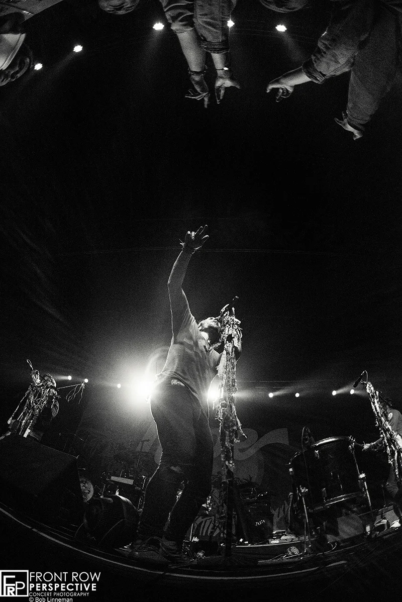 MAGIC GIANT