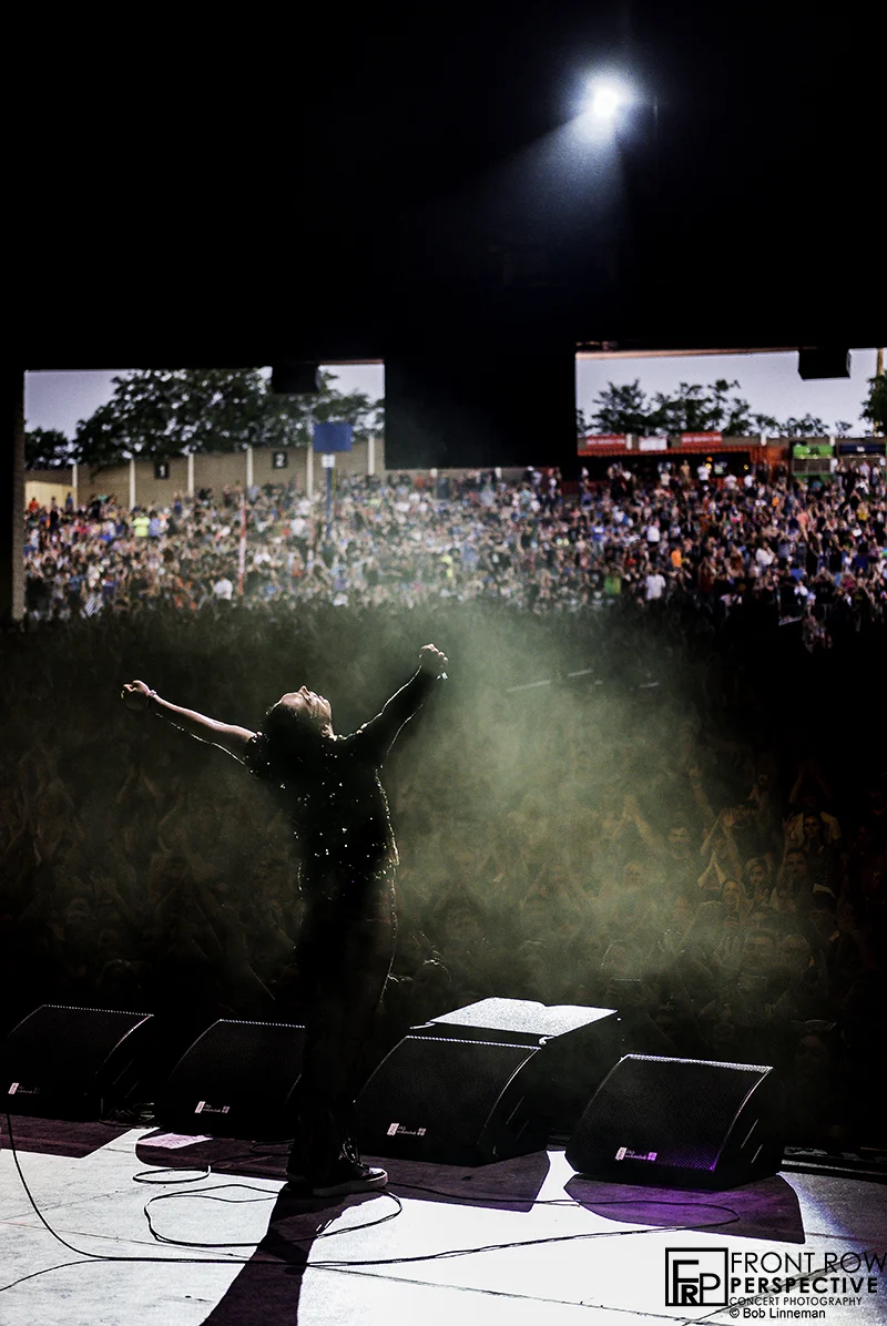 The Struts