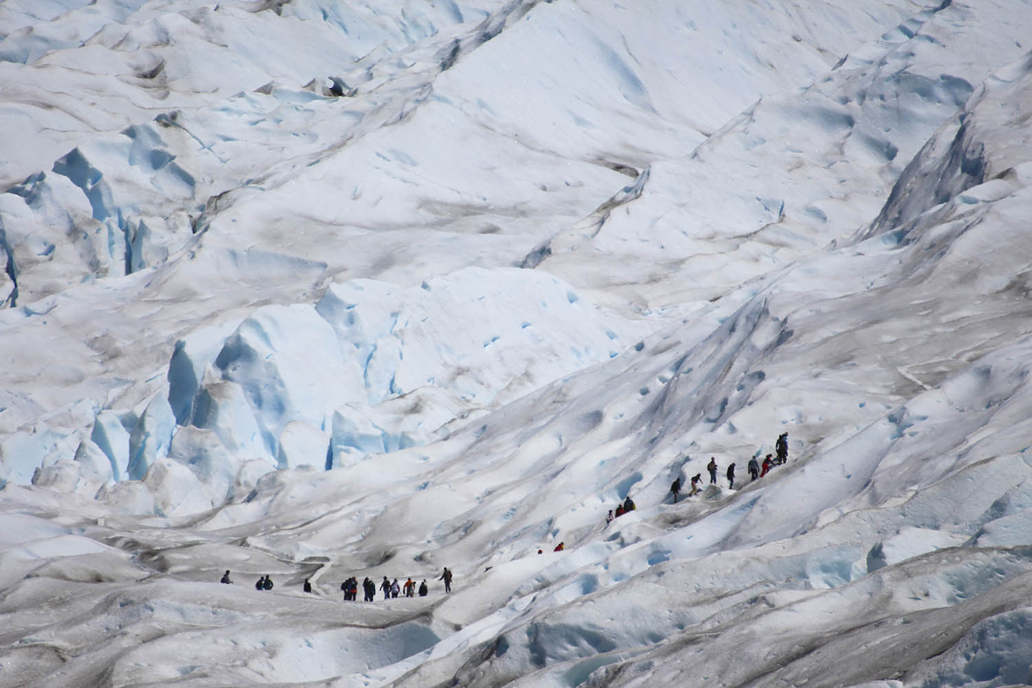 Copy of Perito Moreno Glacier, Patagonia Argentina
