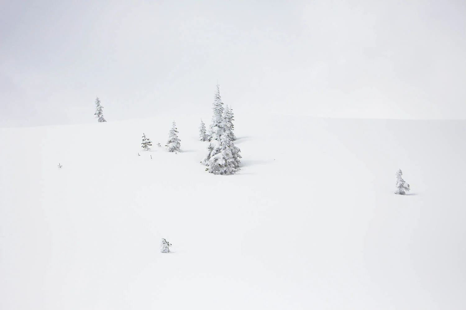 Mount Rainier, Washington