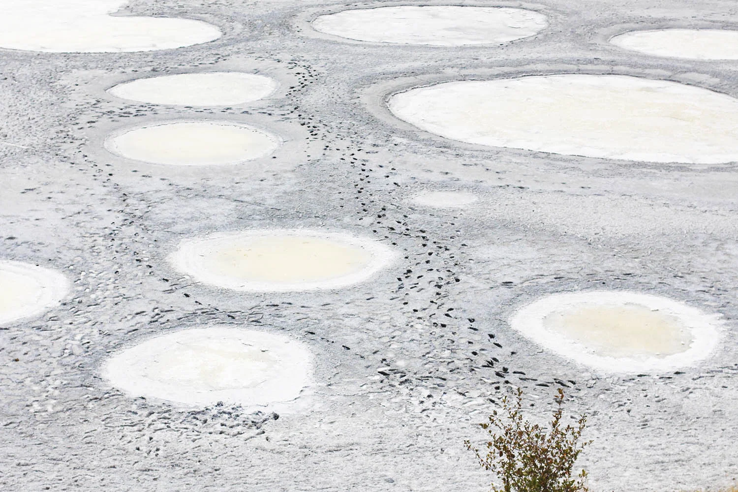 Copy of Spotted Lake, British Columbia
