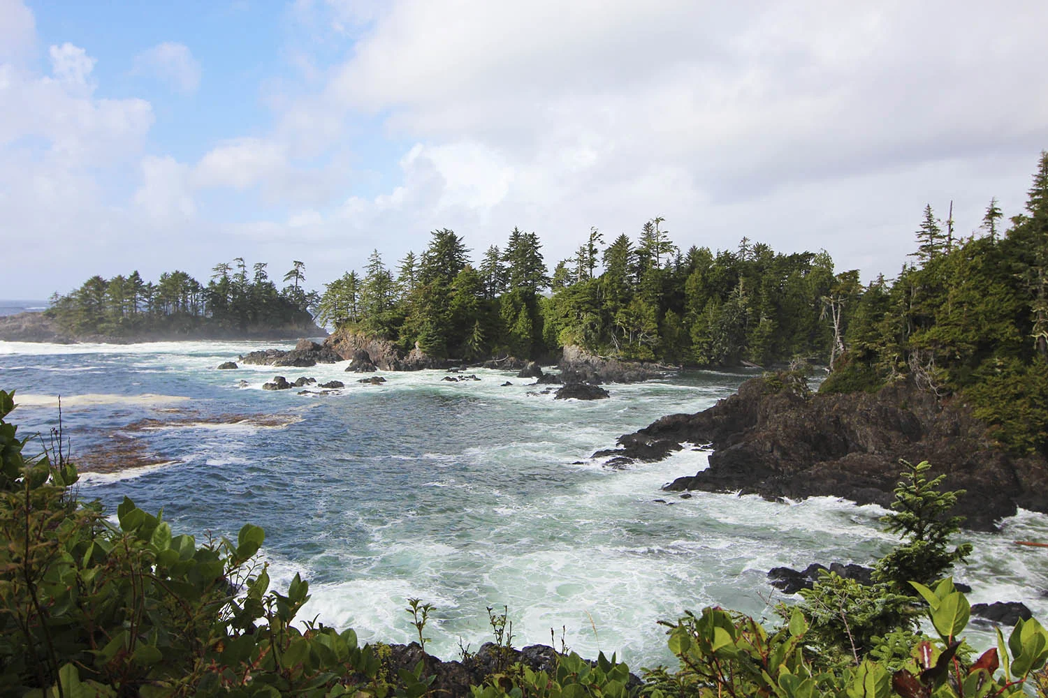 Copy of Tofino, Vancouver Island