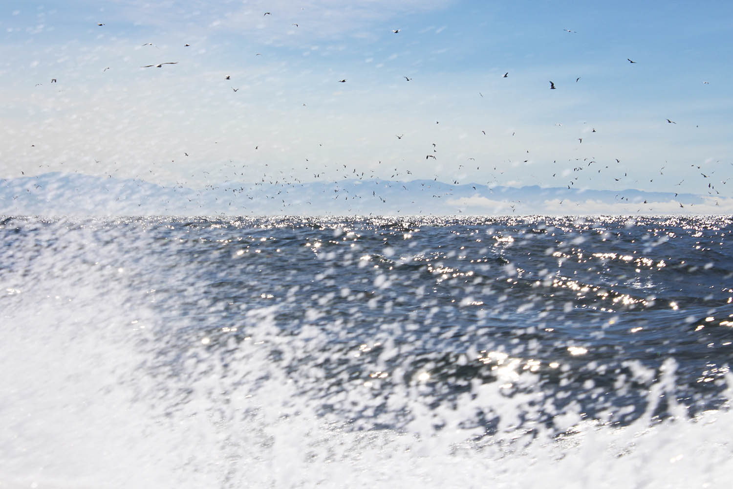 Copy of Vancouver Island, Canada