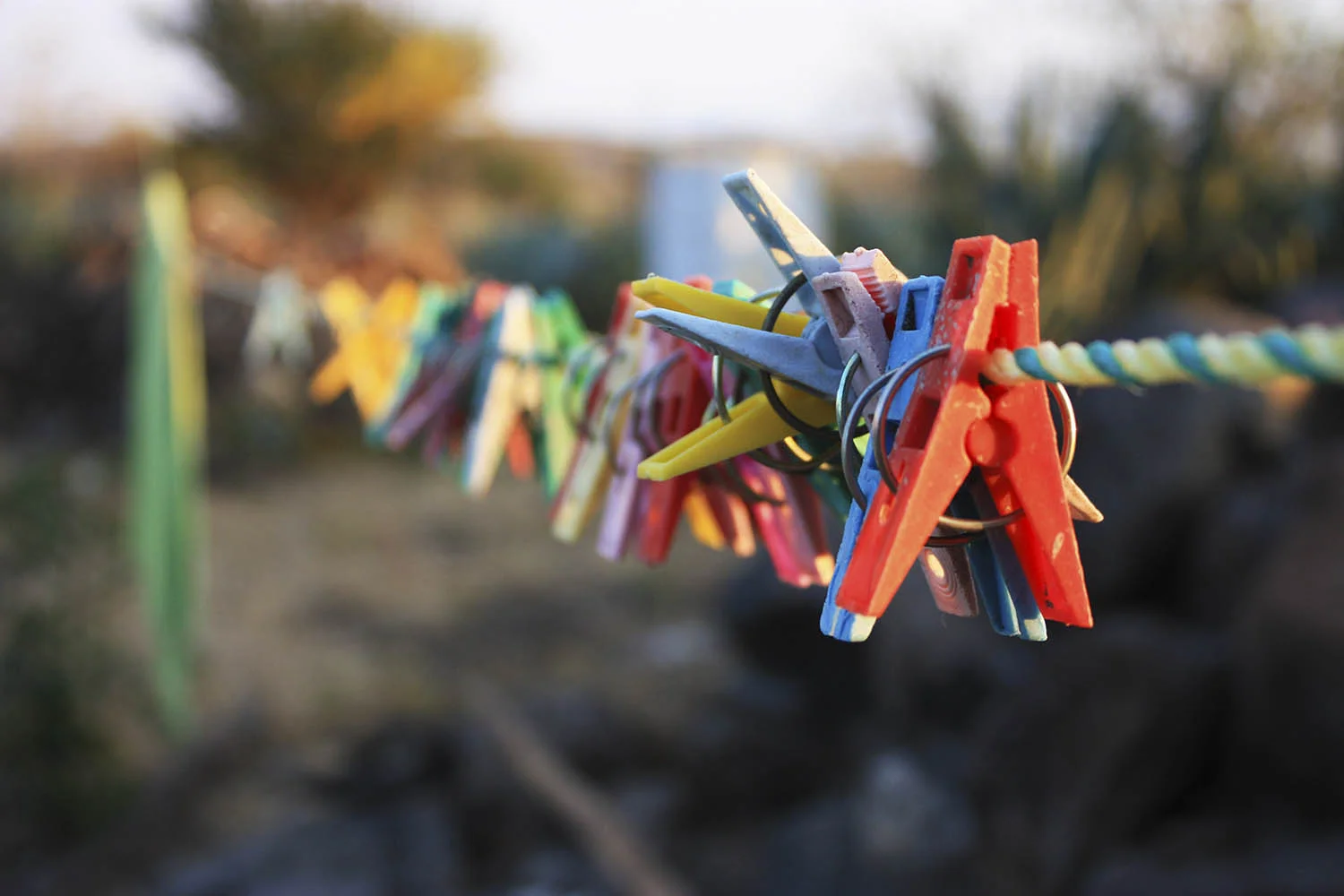 20 IMG_5449_elow.JPG