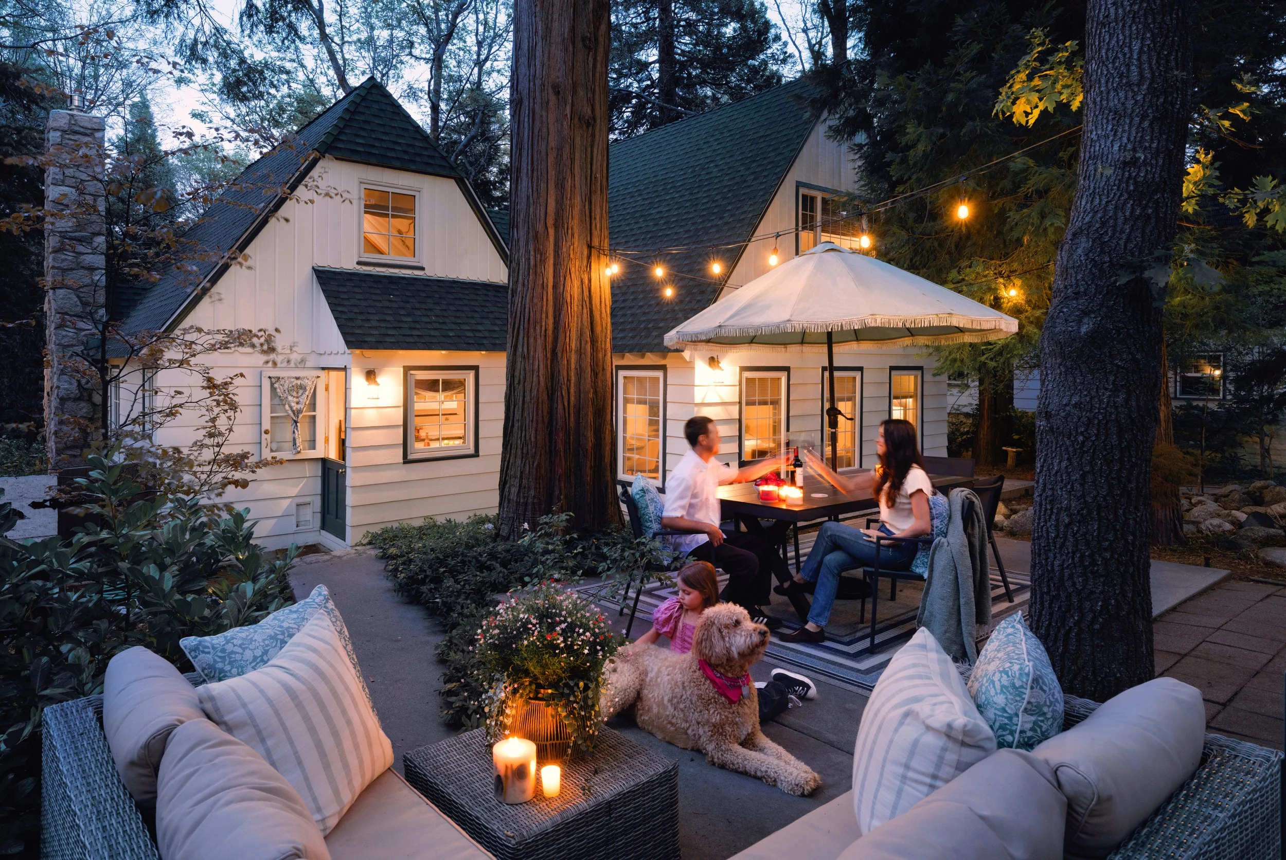 backyard twilight--models.jpg