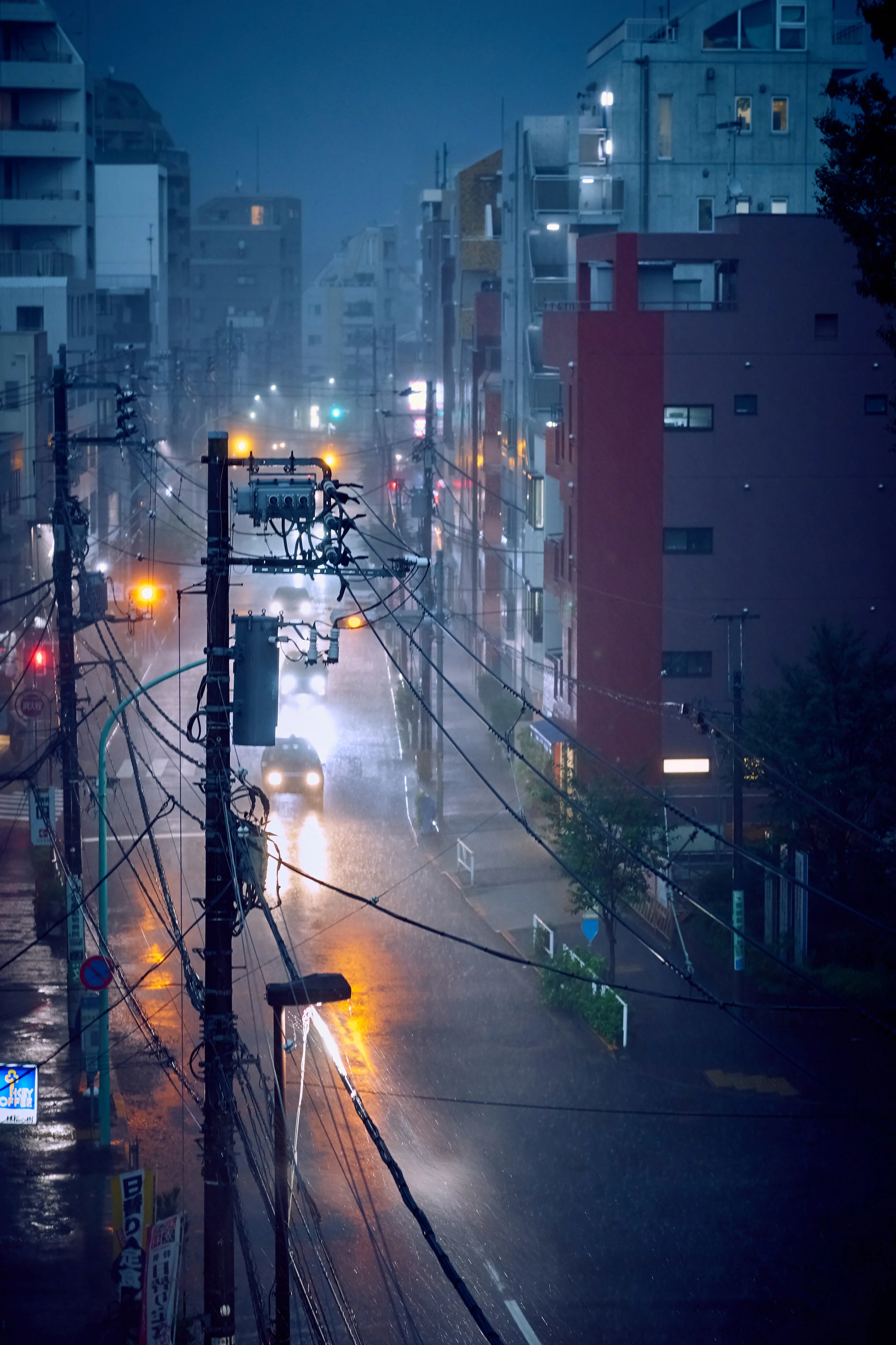 rain_160711_shortbread_DSC02617.jpg