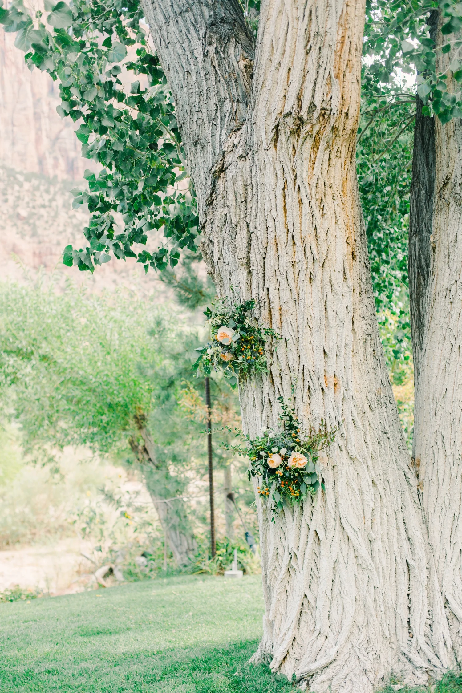 zion-wedding-photography-0005.jpg