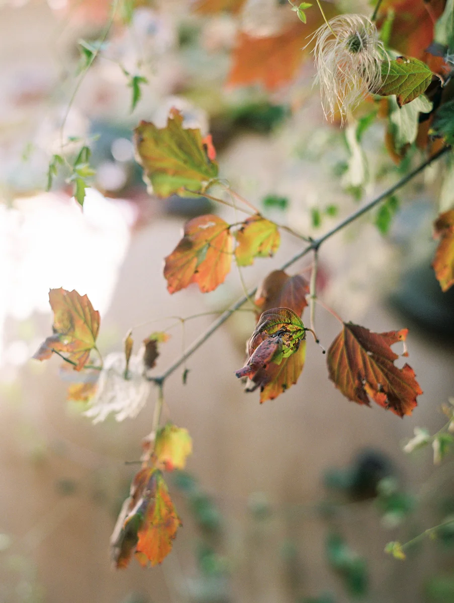 utah-lifestyle-photographer-0022_amber.jpg