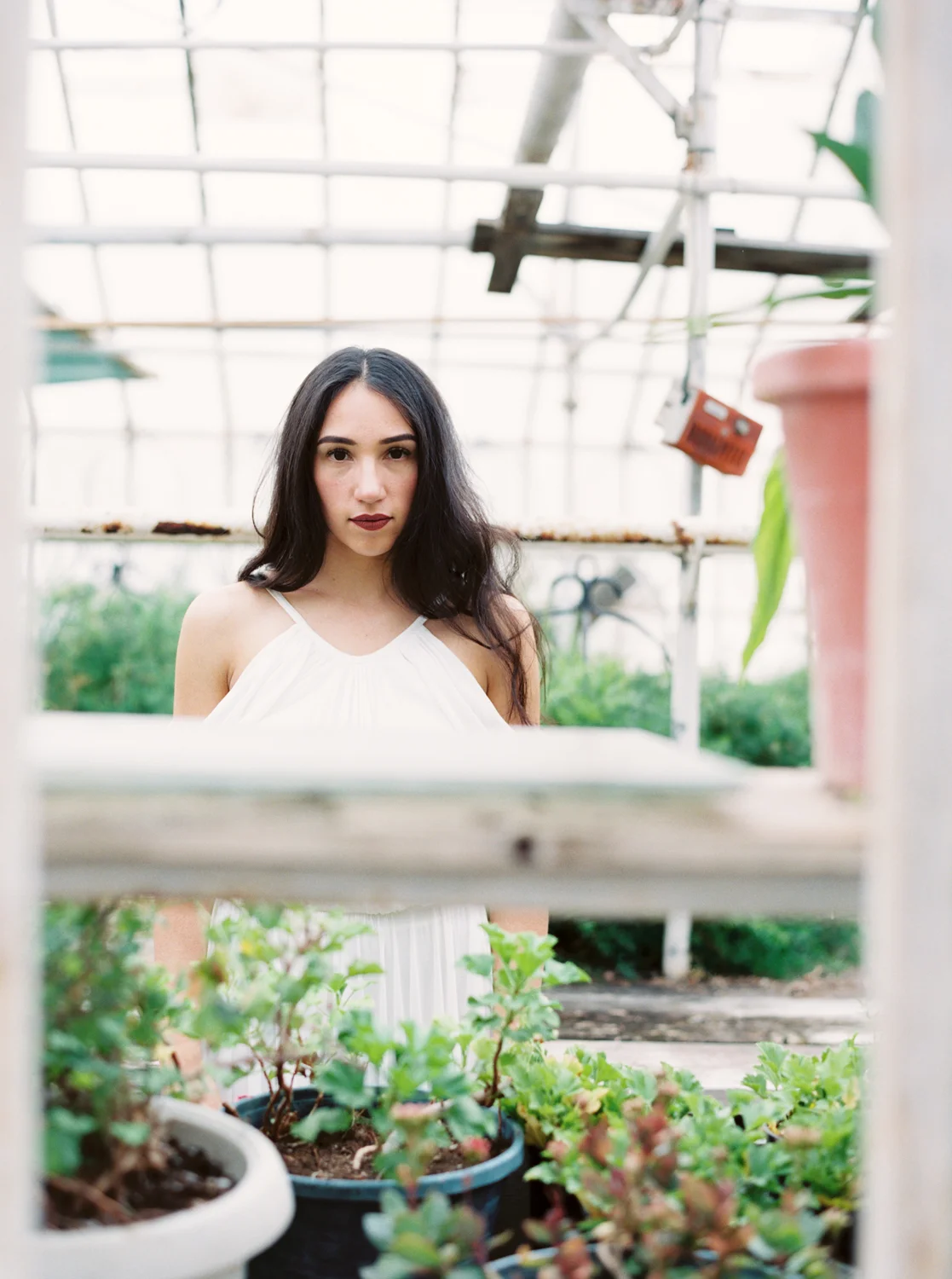 greenhouse-editiorial_0004.jpg