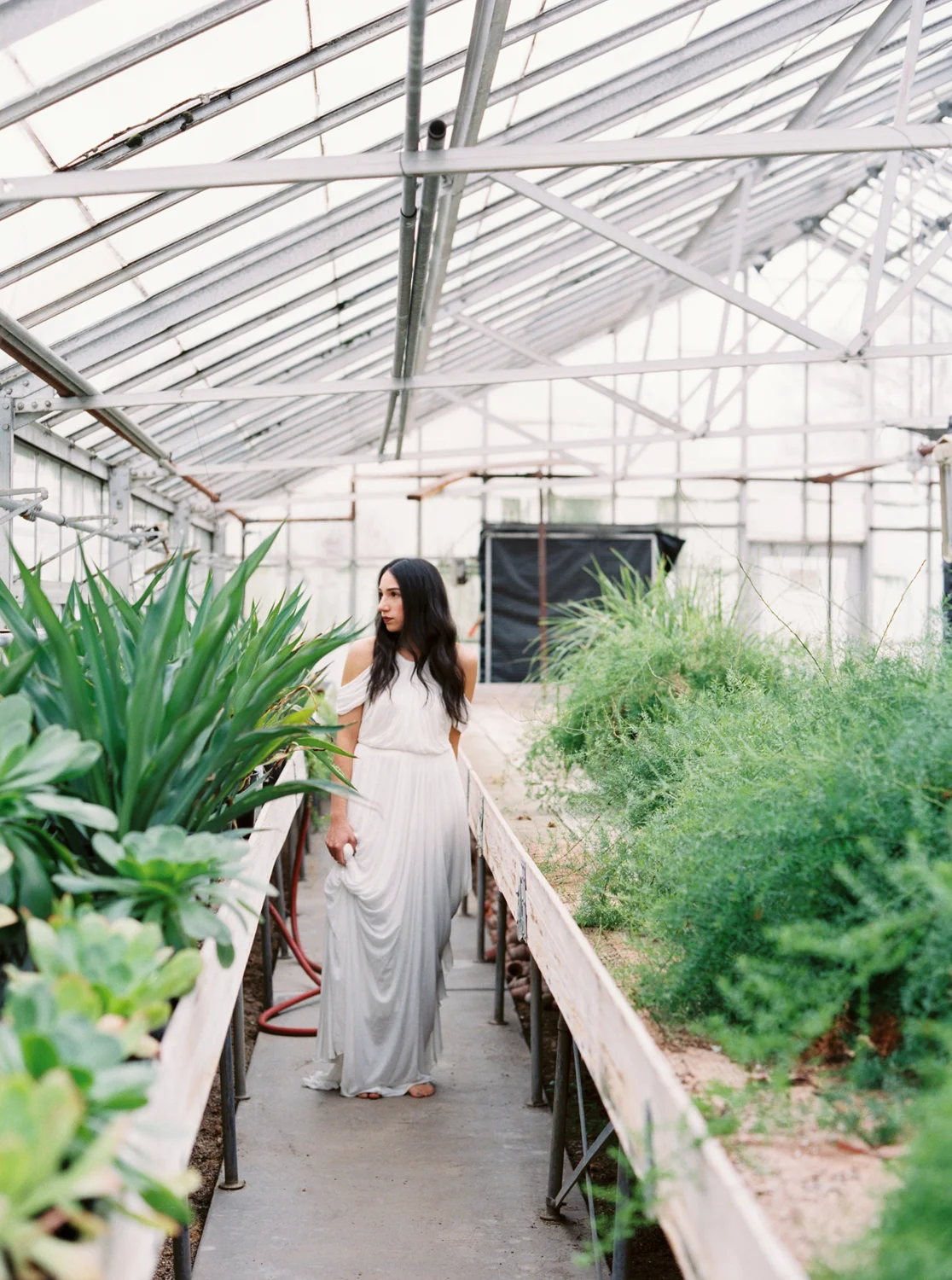 greenhouse-editiorial_0010.jpg