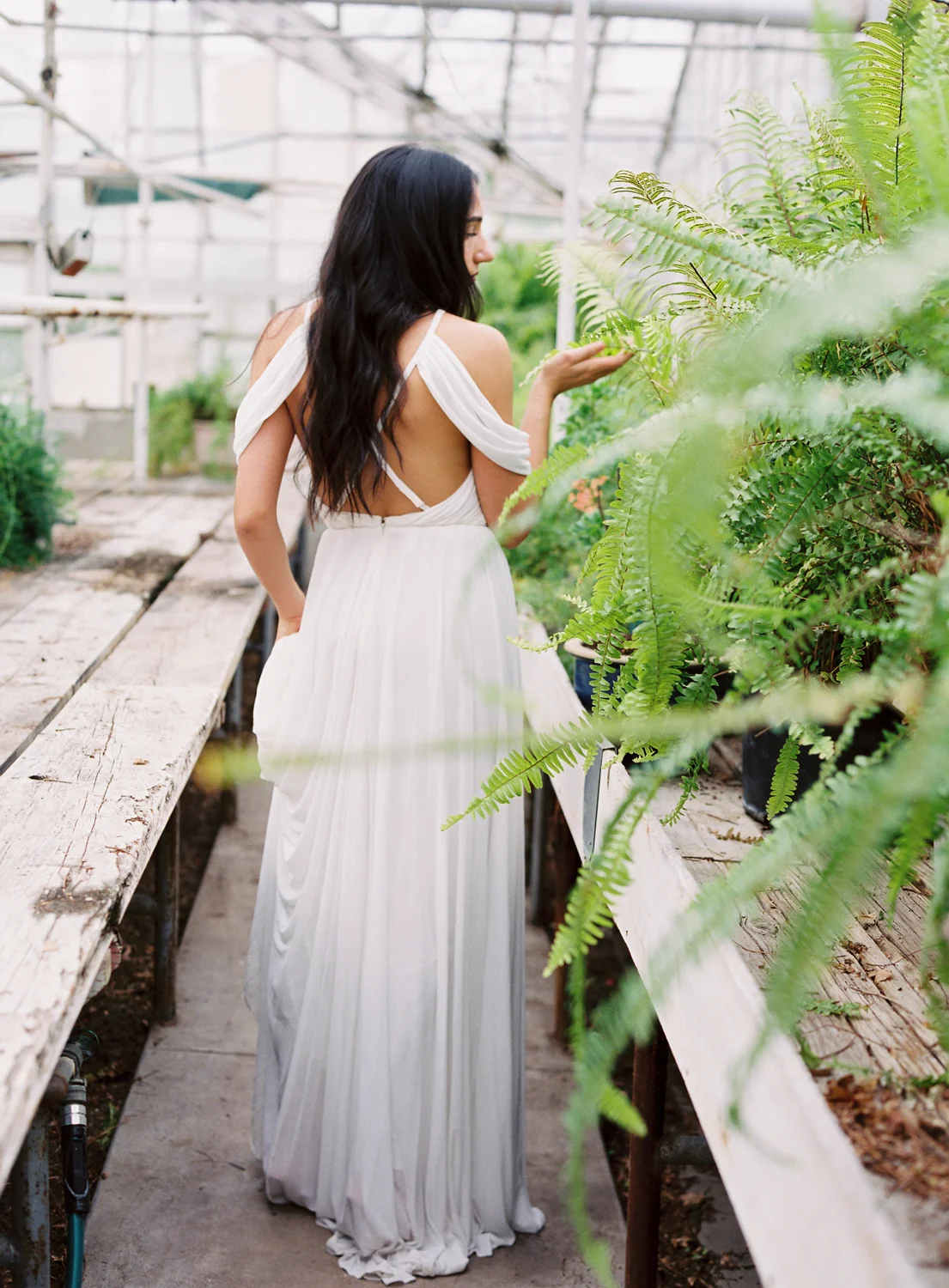 greenhouse-editiorial_0017.jpg