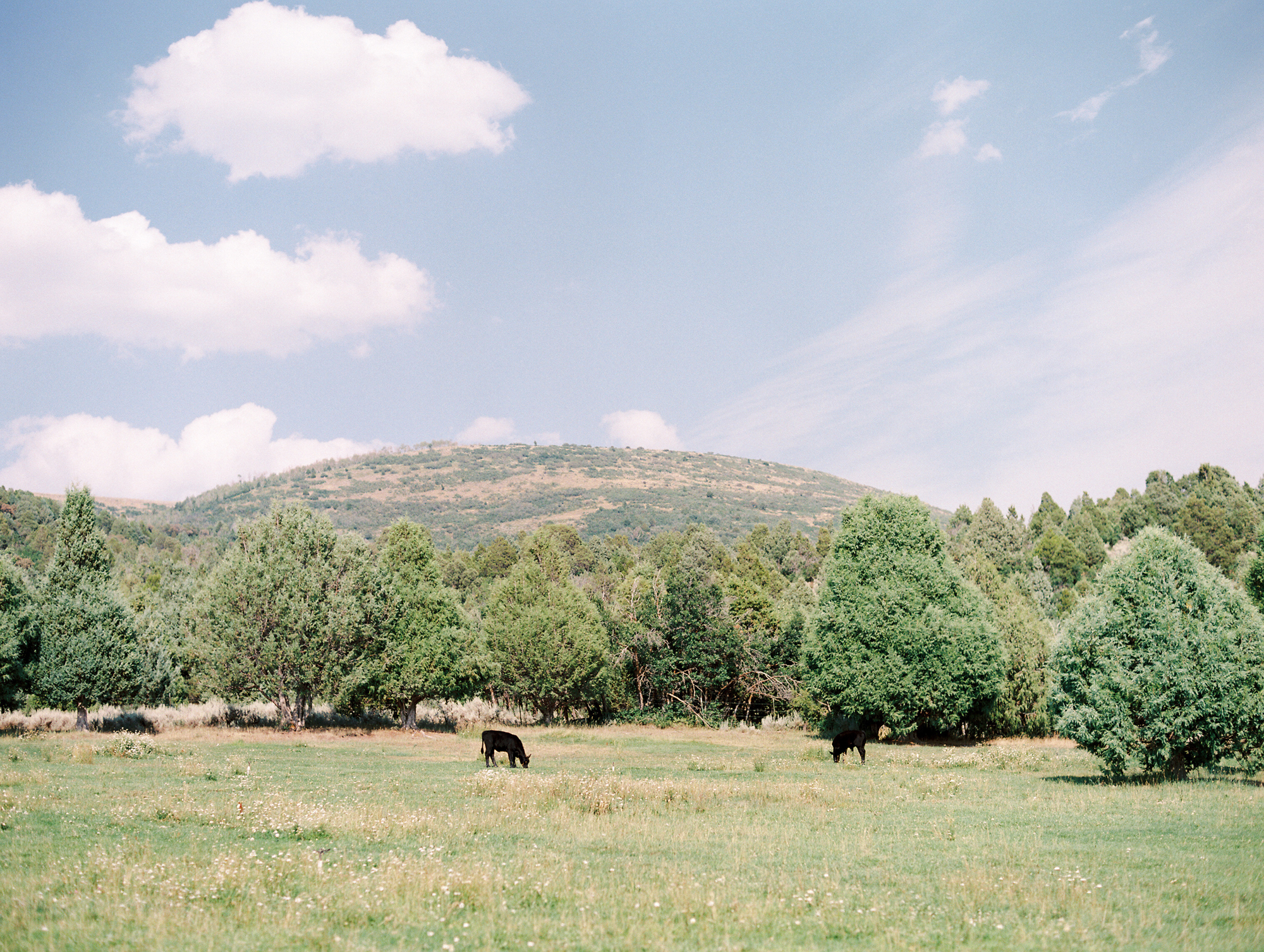 utah-ranch-wedding_0061.jpg