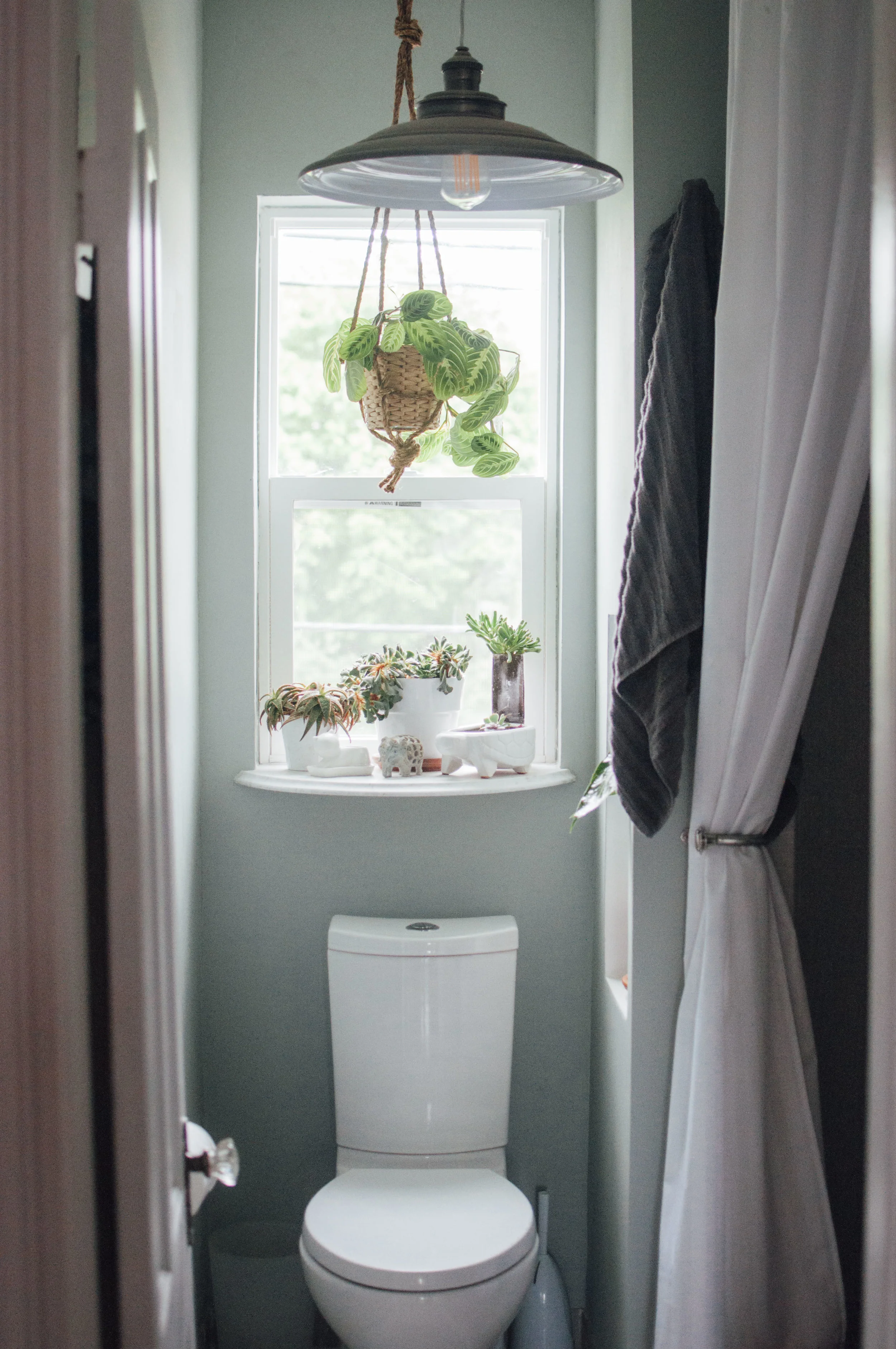 Fremont-renovation-9.jpg