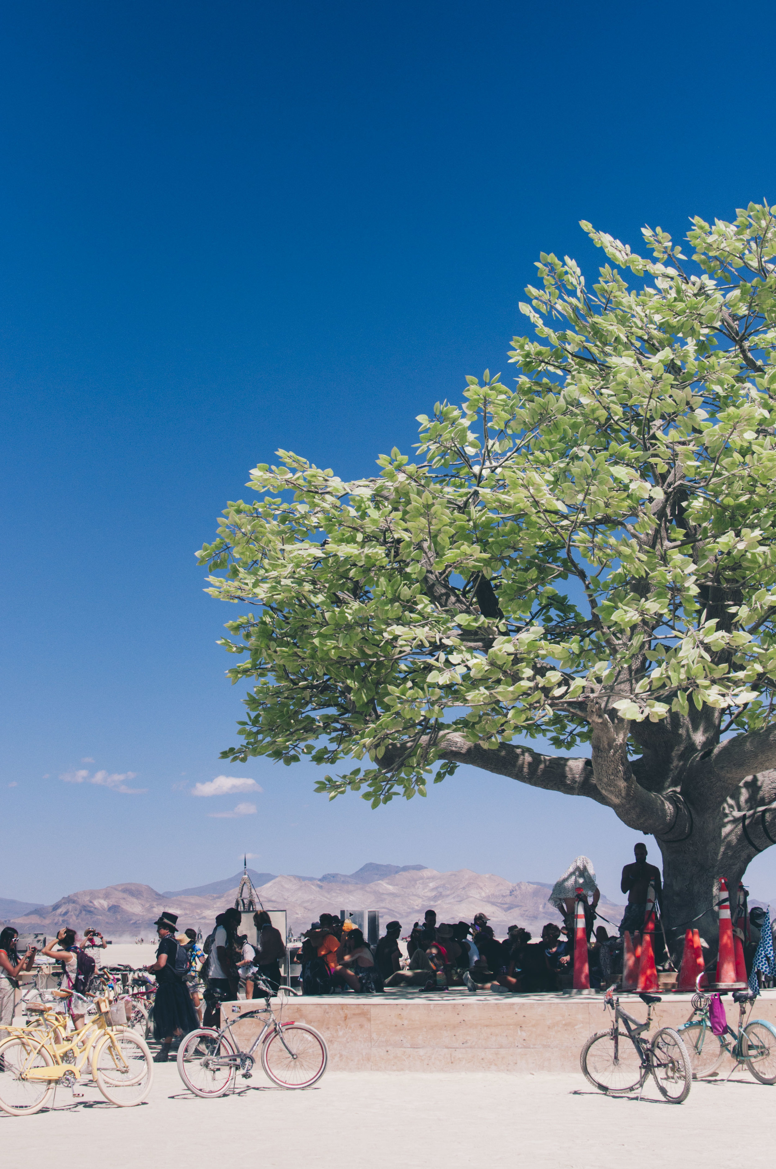 Burning-Man-2017-RLL-011.jpg