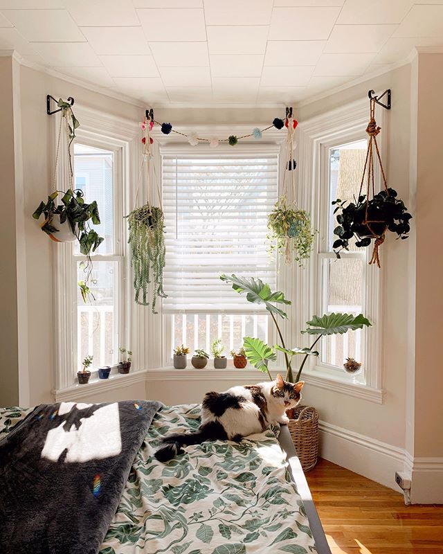 Finally a cozy sunny day at home to enjoy all the sun through our bedroom ☺️☀️🥰