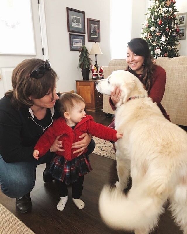 Sums up Christmas 2019: surrounded by babies and dogs all week long &hearts;️⚡️