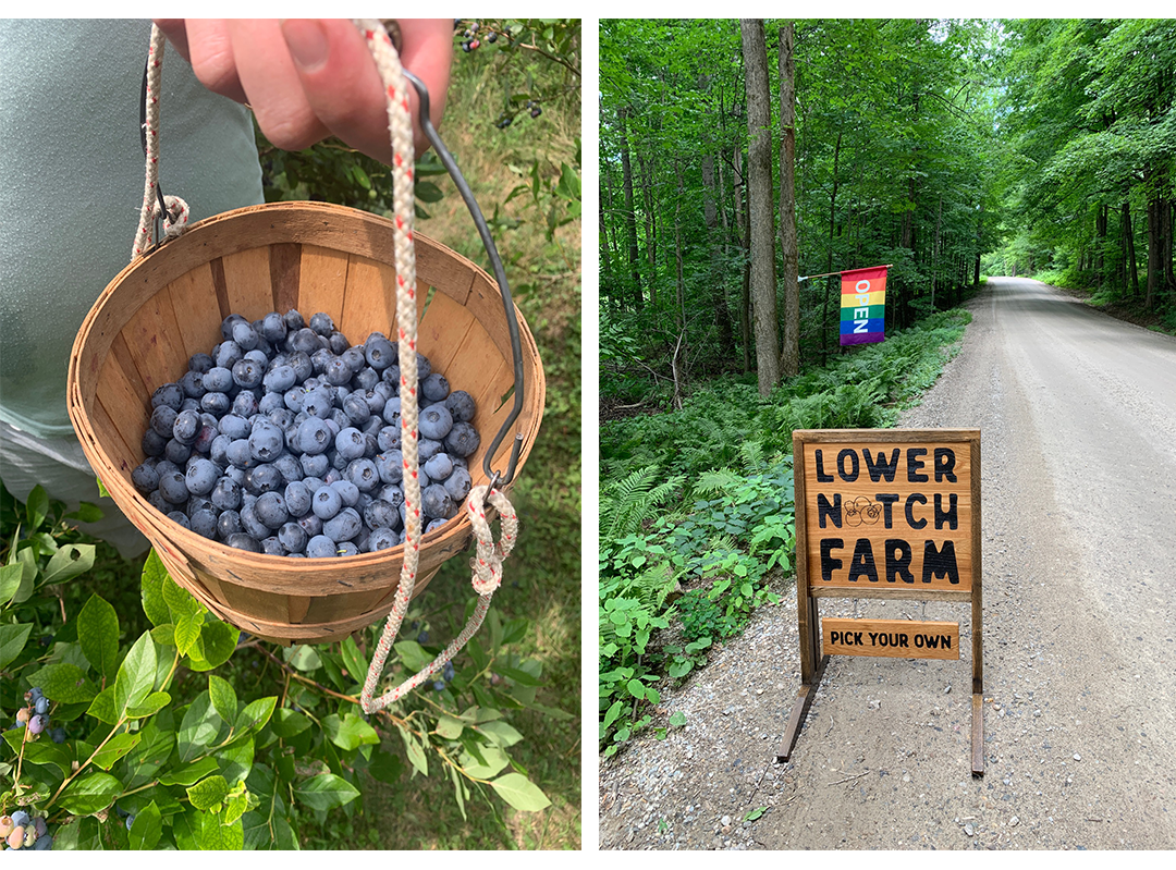 FarmFotos.png
